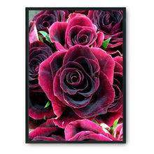 Load image into Gallery viewer, Rose 14CT Stamped Cross Stitch Kit 46x36cm(canvas)
