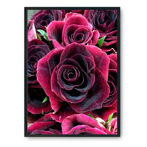 Rose 14CT Stamped Cross Stitch Kit 46x36cm(canvas)