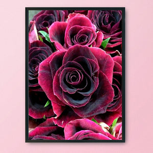 Rose 14CT Stamped Cross Stitch Kit 46x36cm(canvas)