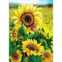 Load image into Gallery viewer, Sunflower 14CT Stamped Cross Stitch Kit 46x36cm(canvas)
