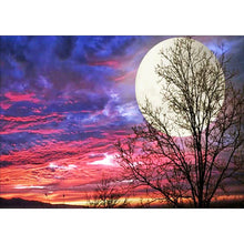 Load image into Gallery viewer, Moon 11CT Stamped Cross Stitch Kit 36x46cm(canvas)
