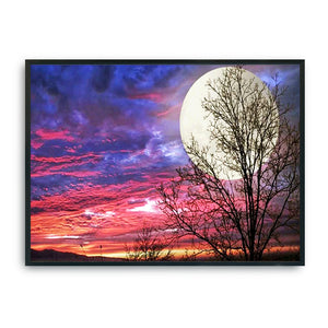 Moon 11CT Stamped Cross Stitch Kit 36x46cm(canvas)