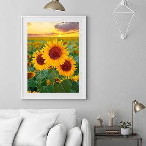 Sunflowers 30x40cm(canvas) Full Round Drill Diamond Painting