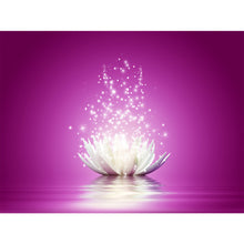 Load image into Gallery viewer, Lotus Flower 40x30cm(canvas) Full Round Drill Diamond Painting
