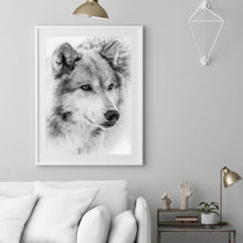 Load image into Gallery viewer, Grey Wolf 40x50cm(canvas) full square drill diamond painting
