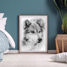 Load image into Gallery viewer, Grey Wolf 40x50cm(canvas) full square drill diamond painting
