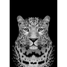 Load image into Gallery viewer, Leopard 30x40cm(canvas) full round drill diamond painting
