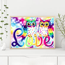 Load image into Gallery viewer, Cartoon Owl 40x30cm(canvas) full round drill diamond painting
