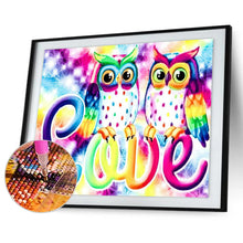 Load image into Gallery viewer, Cartoon Owl 40x30cm(canvas) full round drill diamond painting
