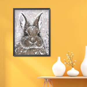 Snow Rabbit 30x40cm(canvas) full round drill diamond painting