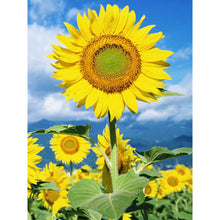 Load image into Gallery viewer, Sunflowers 40x50cm(canvas) full square drill diamond painting
