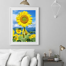 Load image into Gallery viewer, Sunflowers 40x50cm(canvas) full square drill diamond painting
