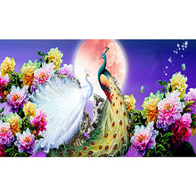 Load image into Gallery viewer, Peafowl Moon 100x50cm(canvas) full round drill diamond painting
