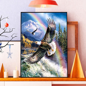 Flying Eagle 30x40cm(canvas) full square drill diamond painting