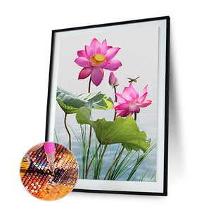 Dragonfly Lotus 30x40cm(canvas) full round drill diamond painting