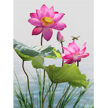 Load image into Gallery viewer, Dragonfly Lotus 30x40cm(canvas) full round drill diamond painting
