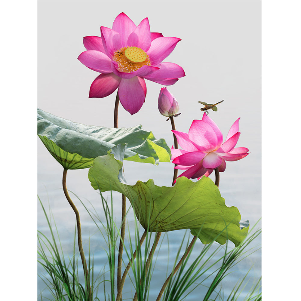 Dragonfly Lotus 30x40cm(canvas) full round drill diamond painting