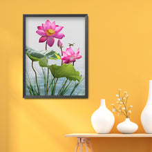 Load image into Gallery viewer, Dragonfly Lotus 30x40cm(canvas) full round drill diamond painting
