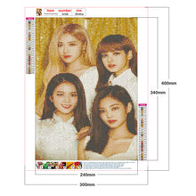 Load image into Gallery viewer, Blackpink 30x40cm(canvas) full round Drill diamond painting
