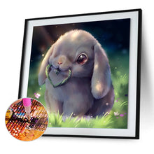 Load image into Gallery viewer, Rabbit 30x30cm(canvas) full round Drill diamond painting
