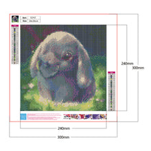 Load image into Gallery viewer, Rabbit 30x30cm(canvas) full round Drill diamond painting
