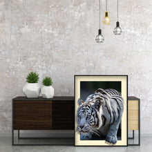 Load image into Gallery viewer, White Tiger 40x50cm(canvas) full round drill diamond painting
