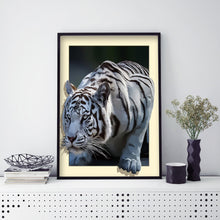 Load image into Gallery viewer, White Tiger 40x50cm(canvas) full round drill diamond painting
