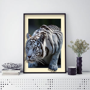 White Tiger 40x50cm(canvas) full round drill diamond painting