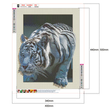 Load image into Gallery viewer, White Tiger 40x50cm(canvas) full round drill diamond painting
