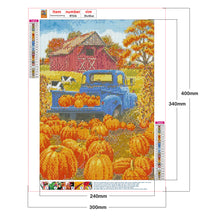 Load image into Gallery viewer, Farm Pumpkin 30x40cm(canvas) full round drill diamond painting
