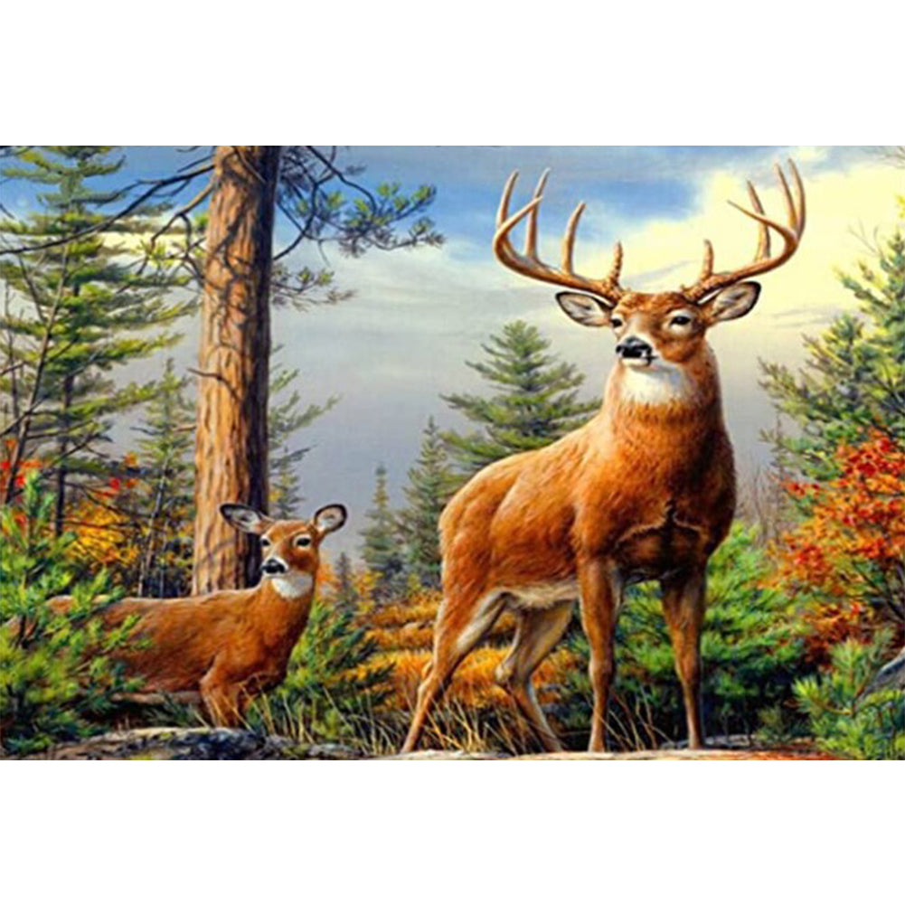 Deer 40x30cm(canvas) full round drill diamond painting