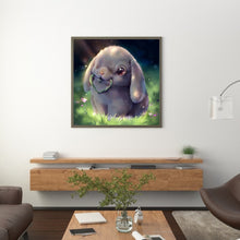 Load image into Gallery viewer, Rabbit 30x30cm(canvas) full square drill diamond painting
