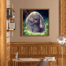 Load image into Gallery viewer, Rabbit 30x30cm(canvas) full square drill diamond painting
