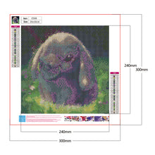 Load image into Gallery viewer, Rabbit 30x30cm(canvas) full square drill diamond painting
