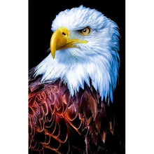 Load image into Gallery viewer, Eagle 45x75cm(canvas) full round drill diamond painting
