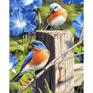 Little Bird 40x50cm(canvas) full square drill diamond painting