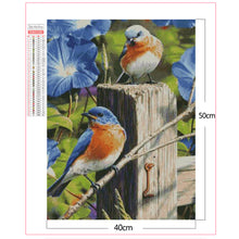 Load image into Gallery viewer, Little Bird 40x50cm(canvas) full square drill diamond painting
