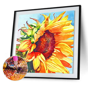 Large Sunflower 40x40cm(canvas) full round drill diamond painting