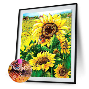 Sunflower Field 30x40cm(canvas) full round drill diamond painting