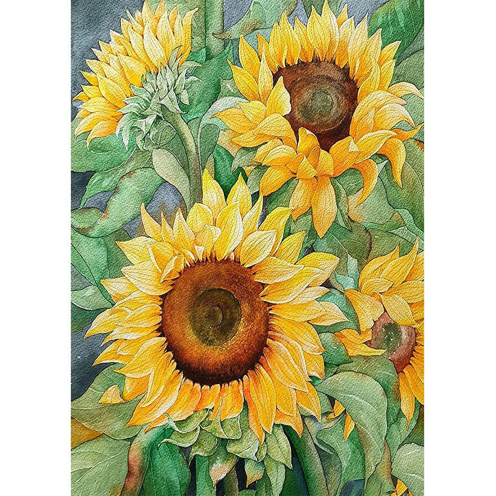 Sunflower 30x40cm(canvas) full round drill diamond painting