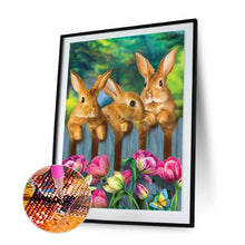 Load image into Gallery viewer, Rabbit 30x40cm(canvas) full round drill diamond painting
