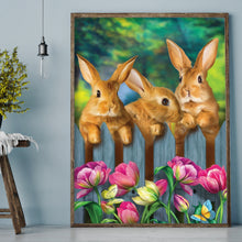 Load image into Gallery viewer, Rabbit 30x40cm(canvas) full round drill diamond painting
