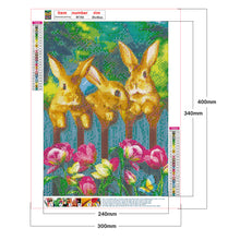 Load image into Gallery viewer, Rabbit 30x40cm(canvas) full round drill diamond painting
