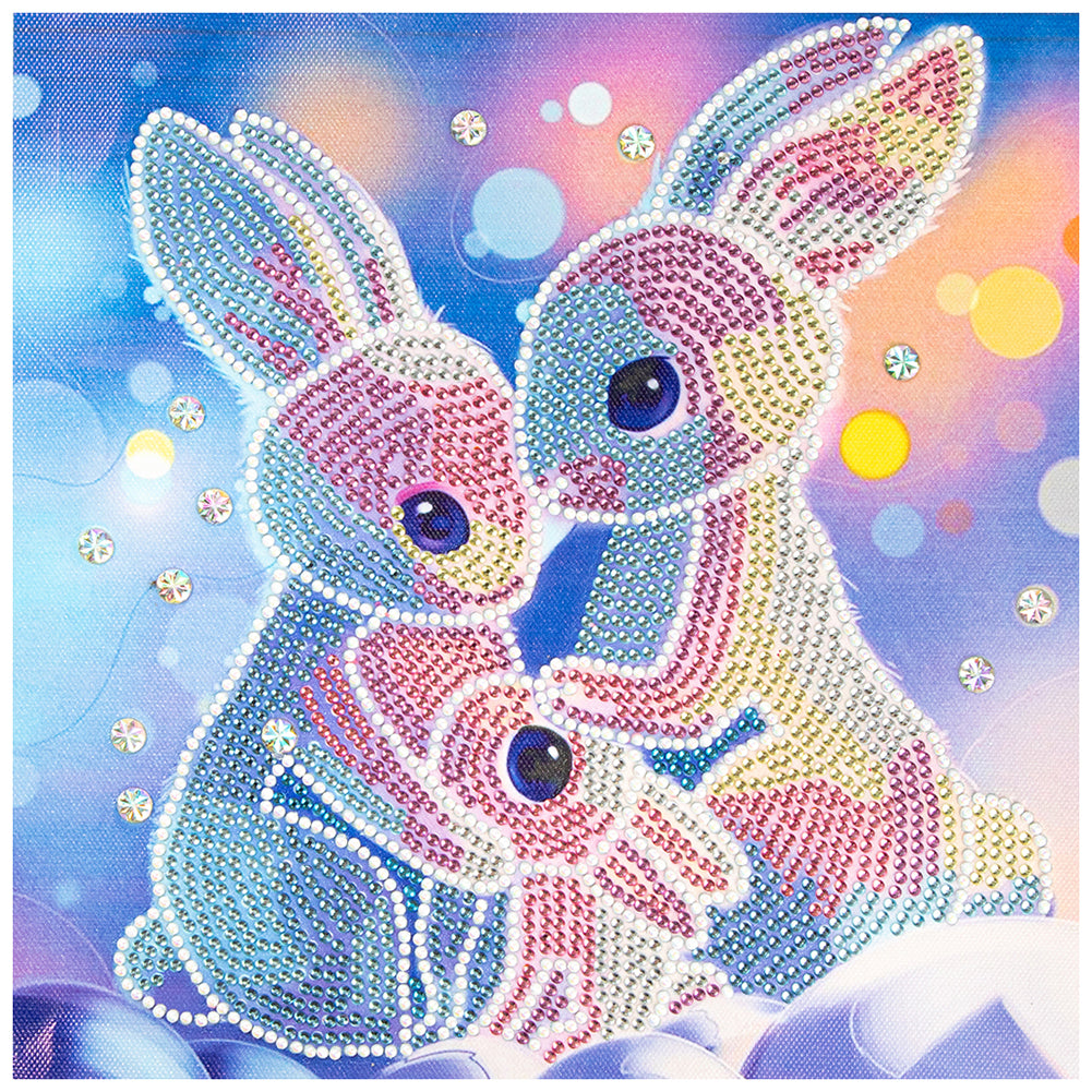 Rabbit 30x30cm(canvas) partial special shaped drill diamond painting