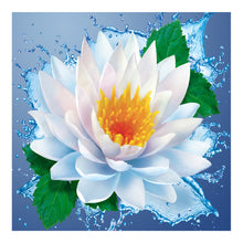 Load image into Gallery viewer, Lotus 30x30cm(canvas) full round drill diamond painting
