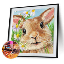 Load image into Gallery viewer, Rabbit 30x30cm(canvas) full round drill diamond painting
