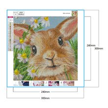 Load image into Gallery viewer, Rabbit 30x30cm(canvas) full round drill diamond painting
