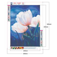 Load image into Gallery viewer, White Tulip 30x40cm(canvas) full round drill diamond painting
