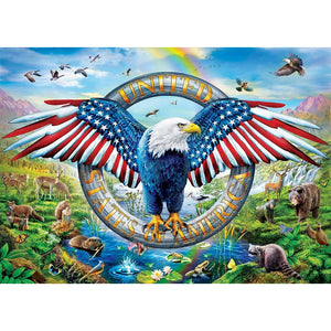 United States Eagle 40x30cm(canvas) full round drill diamond painting