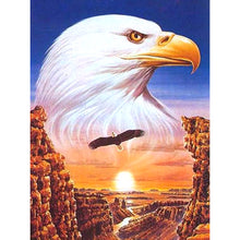 Load image into Gallery viewer, Eagle 40x50cm(canvas) full round drill diamond painting
